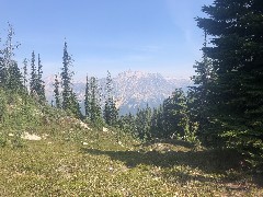 Maple Heather Trail, WA